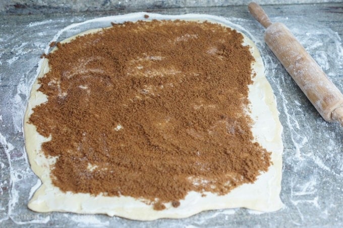 Cinnamon and sugar spread over a sheet of pastry.