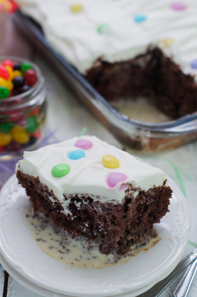 A piece of Easter chocolate cake served on a white plate.