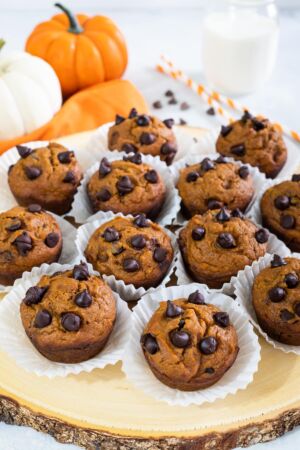 Pumpkin Muffins packed with pumpkin puree and chocolate chips. - Smart Little Cookie