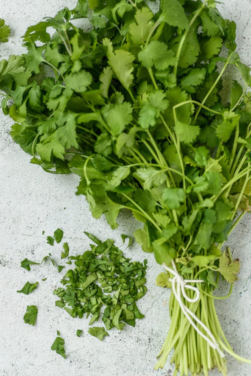 Latin Caribbean Food: Cilantro