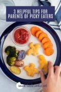 Yummy Dino Buddies with roasted vegetables on a plate and child hand reaching to grab one. Pinterest photo 1