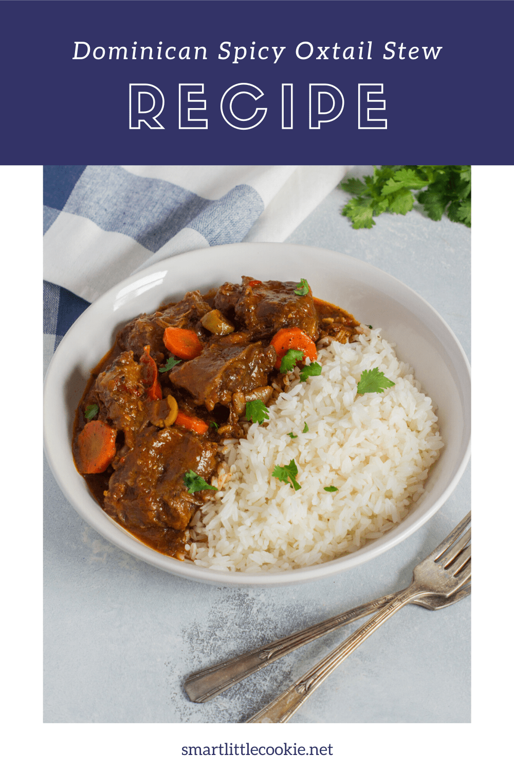 Rabo Encendido (Spicy Dominican Oxtail Stew) - My Dominican Kitchen