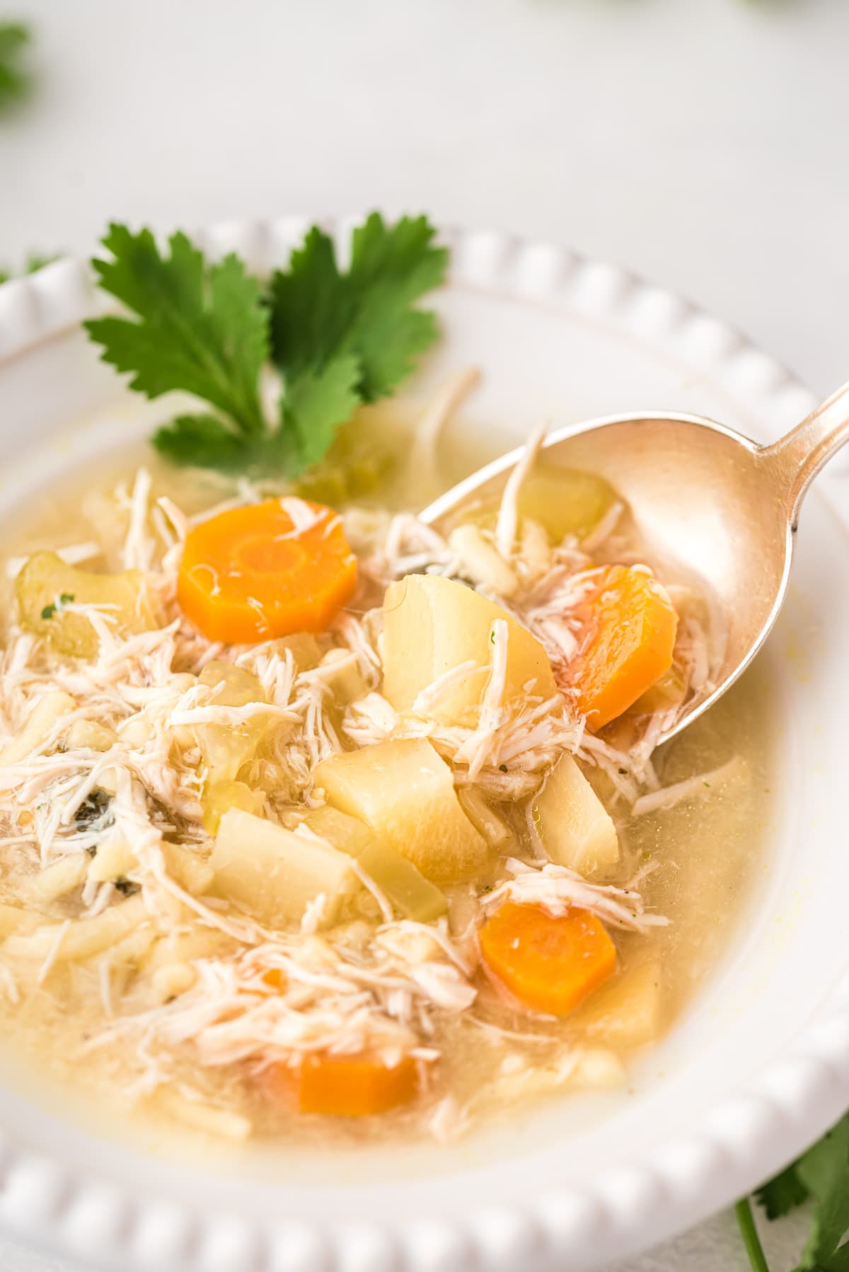 Slow Cooker Chicken Noodle Soup with Yuca My Dominican Kitchen