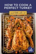Top shot of a whole roasted mojo turkey on a rack over a pan. Pinterest 2