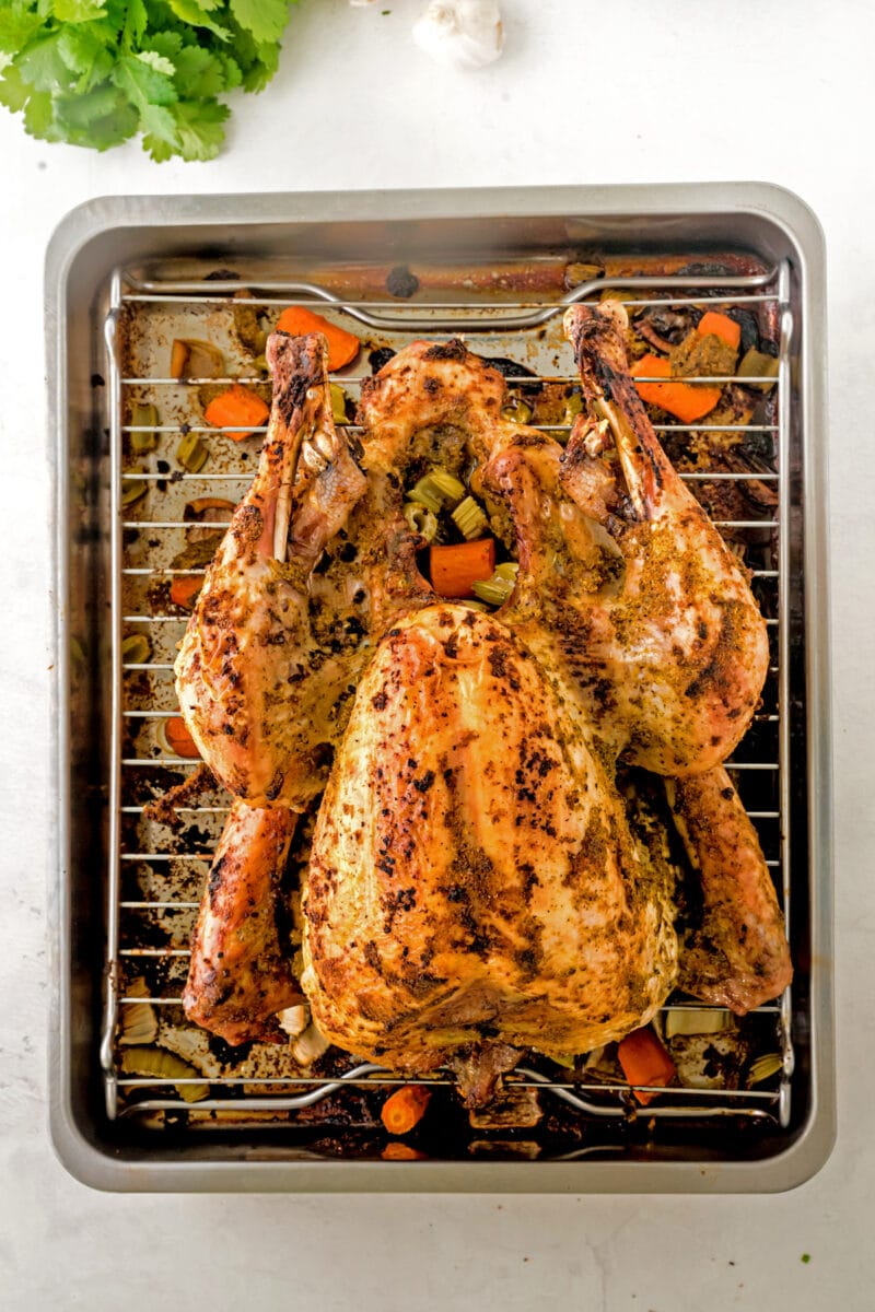 Top shot of a whole roasted mojo turkey on a rack over a pan.