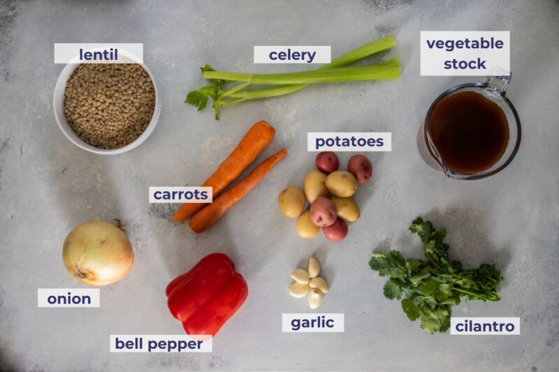 Slow cooker lentil stew ingredients